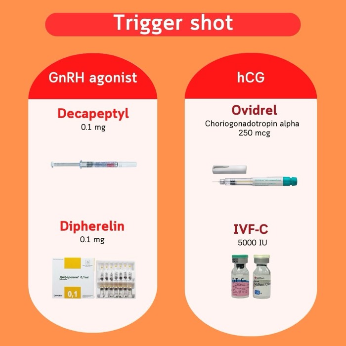 Trigger shots — GnRH agonists (Decapeptyl, Diphereline) and hCG (Ovidrel, IVF-C)